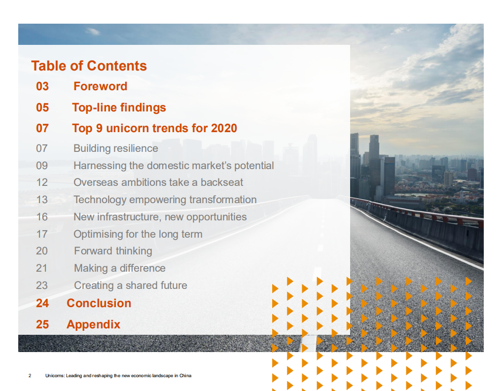 普华永道（PwC）：2020年中国独角兽CEO调研报告-引领新经济 重塑新格局（英文版）.pdf 第2页