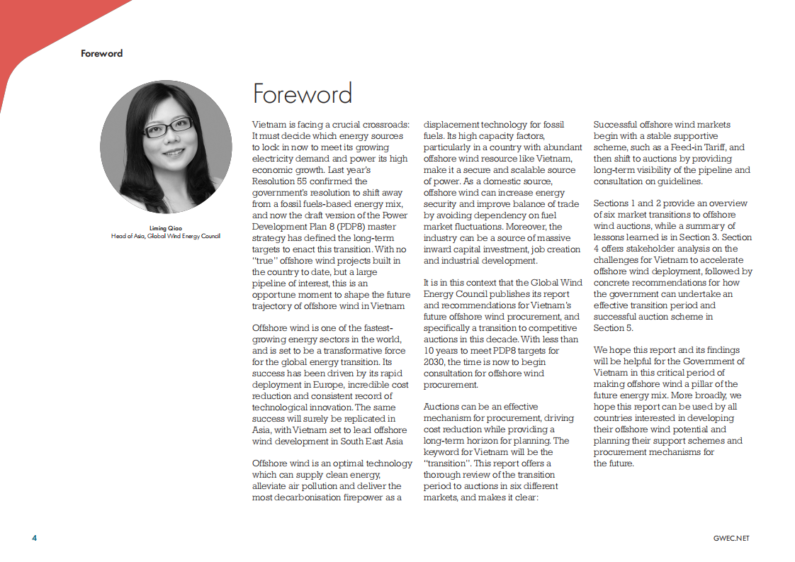 全球风能理事会（GWEC）：越南海上风电市场展望报告-国际最佳实践和经验教训（英文版）.pdf 第4页
