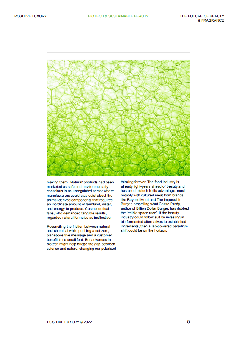 Positive Luxury：美容香氛行业的未来（英文版）.pdf 第5页