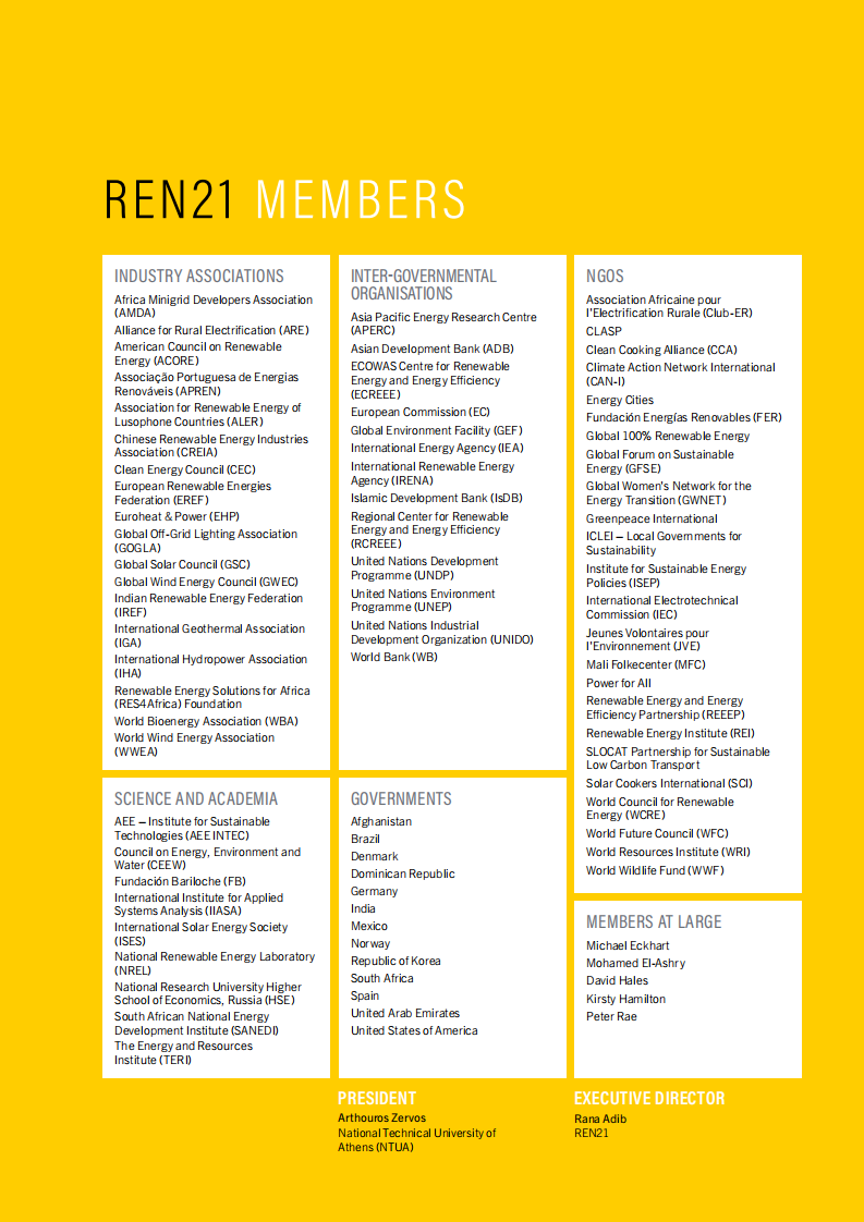 REN21：2020年全球可再生能源现状报告（英文版）.pdf 第2页