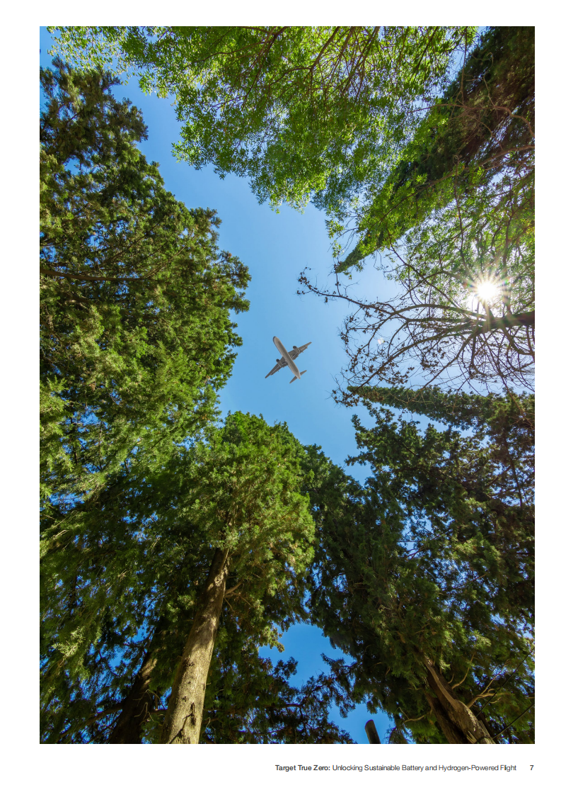 世界经济论坛（WEF）：真正的净零目标-解锁可持续电池和氢动力飞行之路（英文版）.pdf 第6页