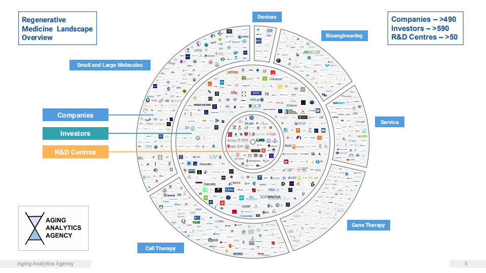 Aging Analytics Agency：2022年第一季度再生医学产业综述报告（英文版）.pdf 第6页