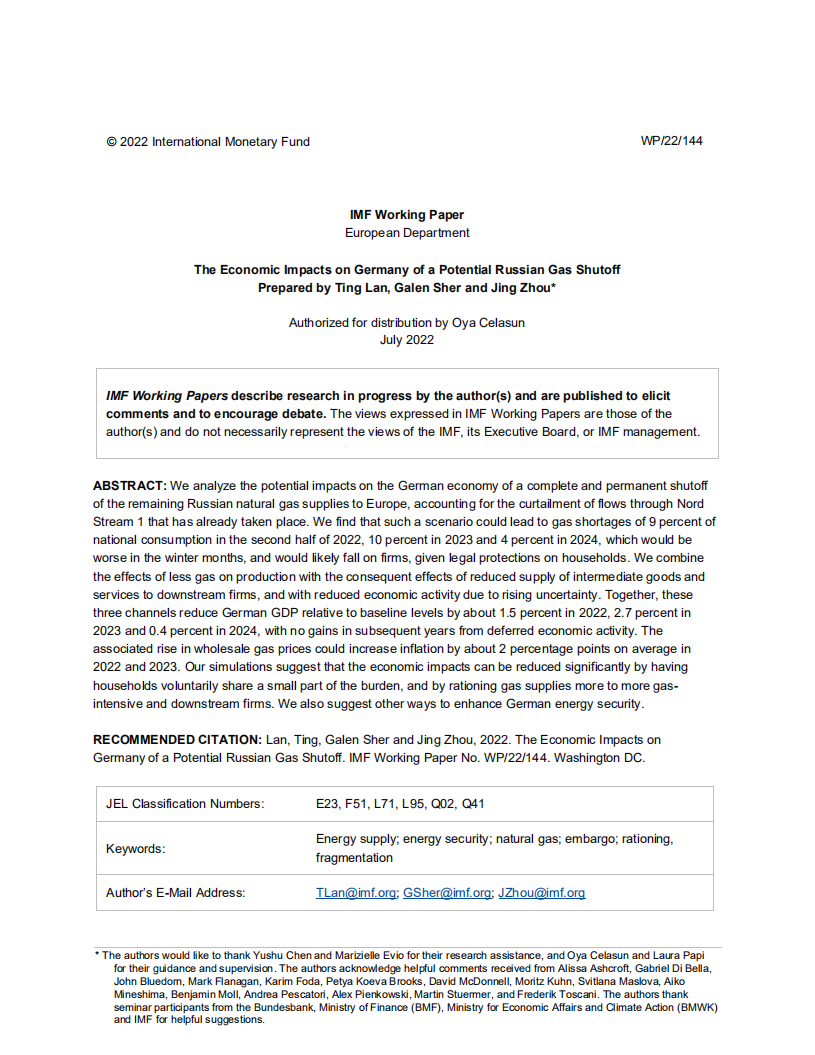 国际货币基金组织（IMF）：俄罗斯天然气供应的不确定性对德国的经济影响（英文版）.pdf 第2页