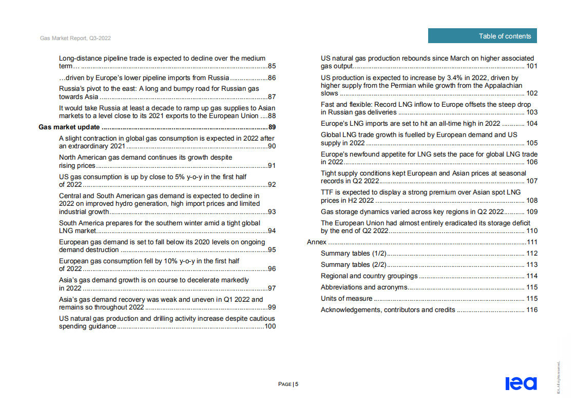国际能源署（IEA）：2022年第三季度天然气市场报告（英文版）.pdf 第6页
