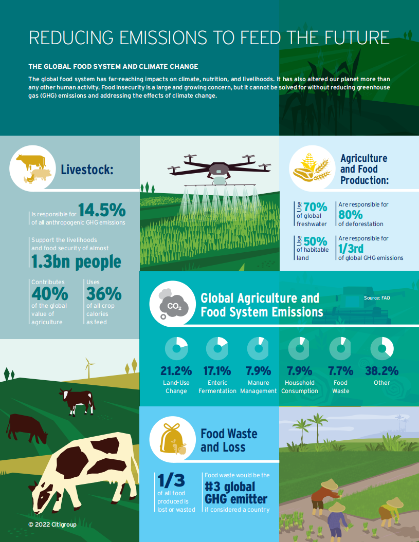 花旗银行（Citi GPS）：粮食与气候变化-创建可持续的粮食系统，实现净零未来（英文版）.pdf 第4页