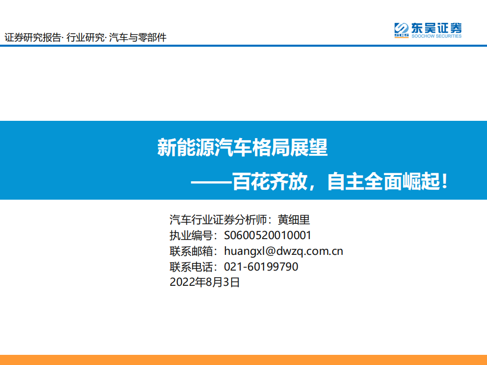 新能源汽车行业格局展望：百花齐放，自主全面崛起！-220803.pdf 第1页