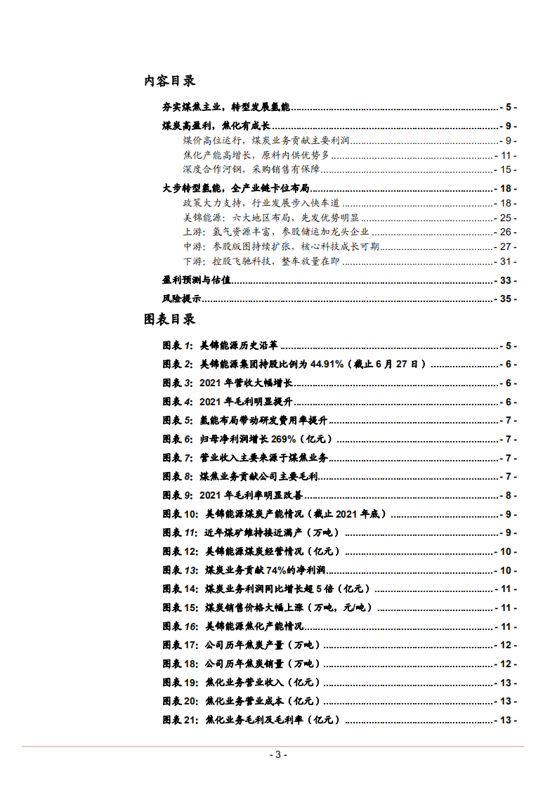 美锦能源-煤焦主业高盈利，转型氢能高成长-220714.pdf 第3页