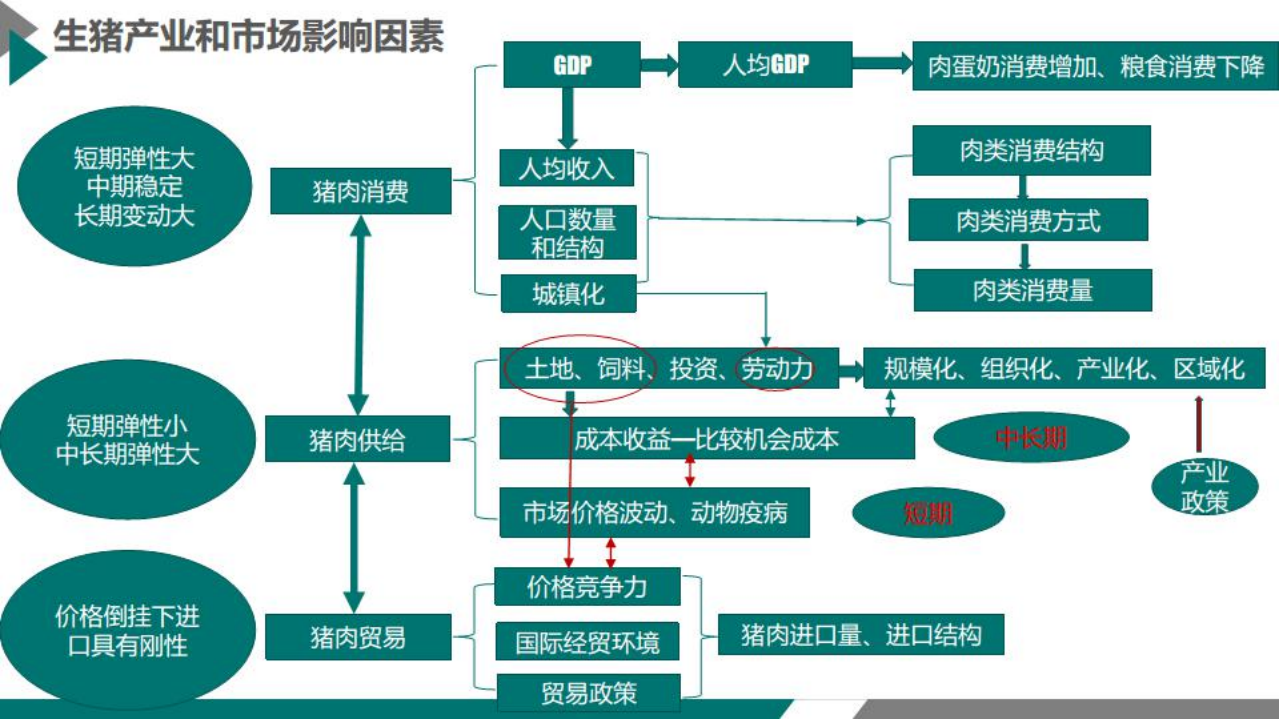 中国农业科学院北京畜牧兽医研究所-农林牧渔行业：我国生猪产业形势及未来展望-220715.pdf 第4页