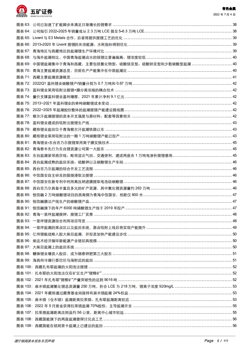 有色金属行业全球盐湖提锂的变革：技术为资源加持，唤醒&ldquo;高原上的沉默宝藏&rdquo;-220704.pdf 第5页