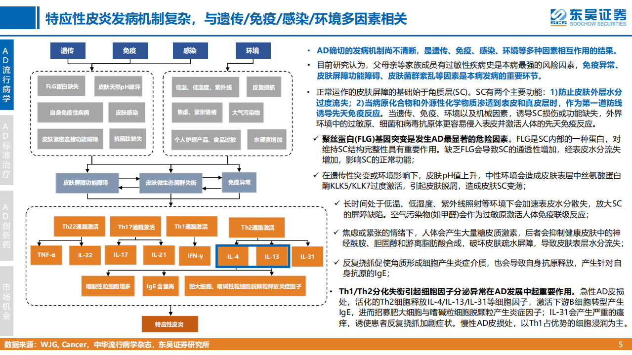 医药行业创新药疾病透视系列行业研究第四期：特应性皮炎治疗中创新药的竞争格局分析-220701.pdf 第5页
