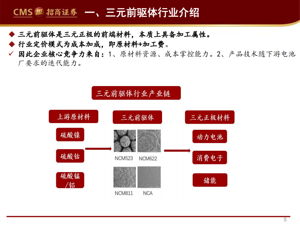 三元前驱体行业投资价值分析-220801.pdf 第5页