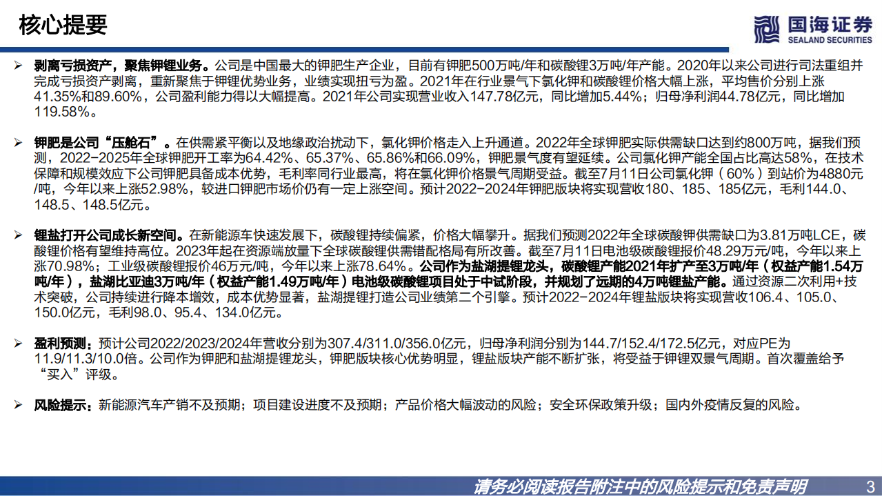 盐湖股份-深度报告：钾锂双轮驱动，钾肥龙头重新起航-220711.pdf 第3页