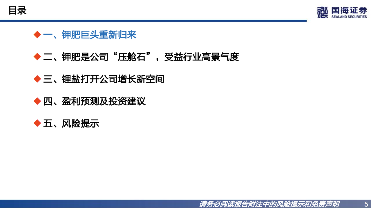 盐湖股份-深度报告：钾锂双轮驱动，钾肥龙头重新起航-220711.pdf 第5页