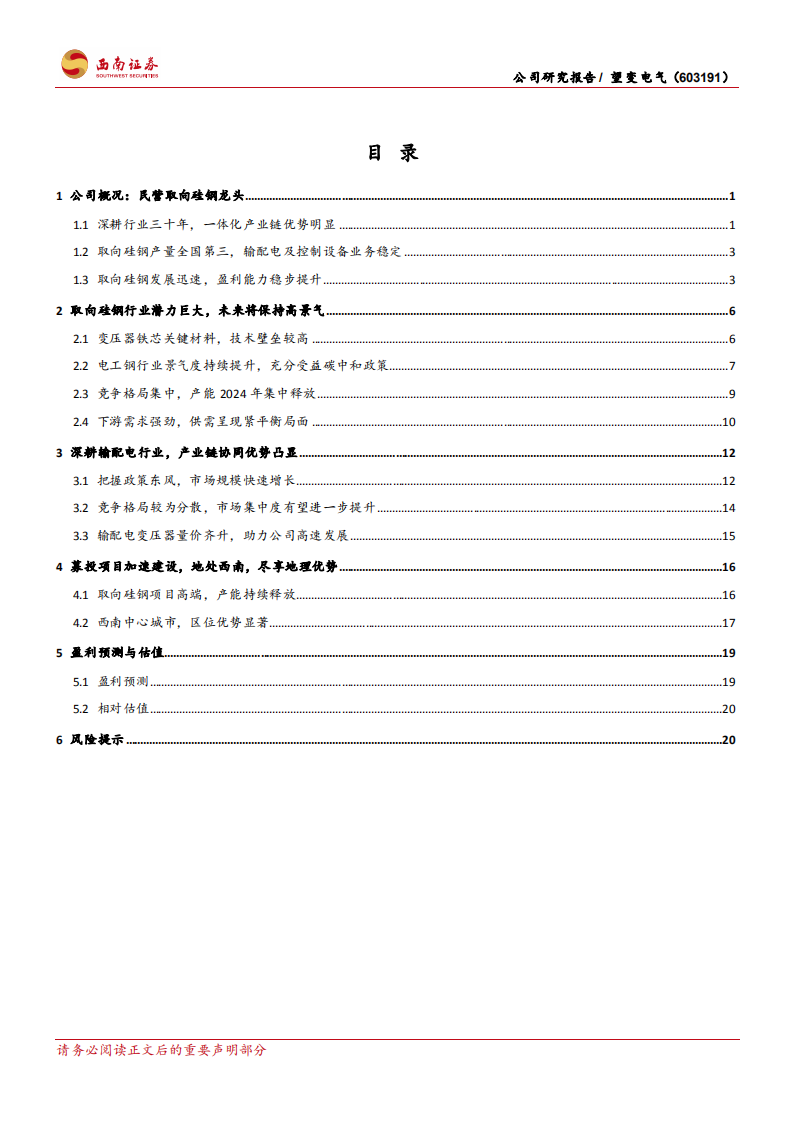 望变电气-取向硅钢民营龙头，一体化产业链尽享优势-220804.pdf 第2页