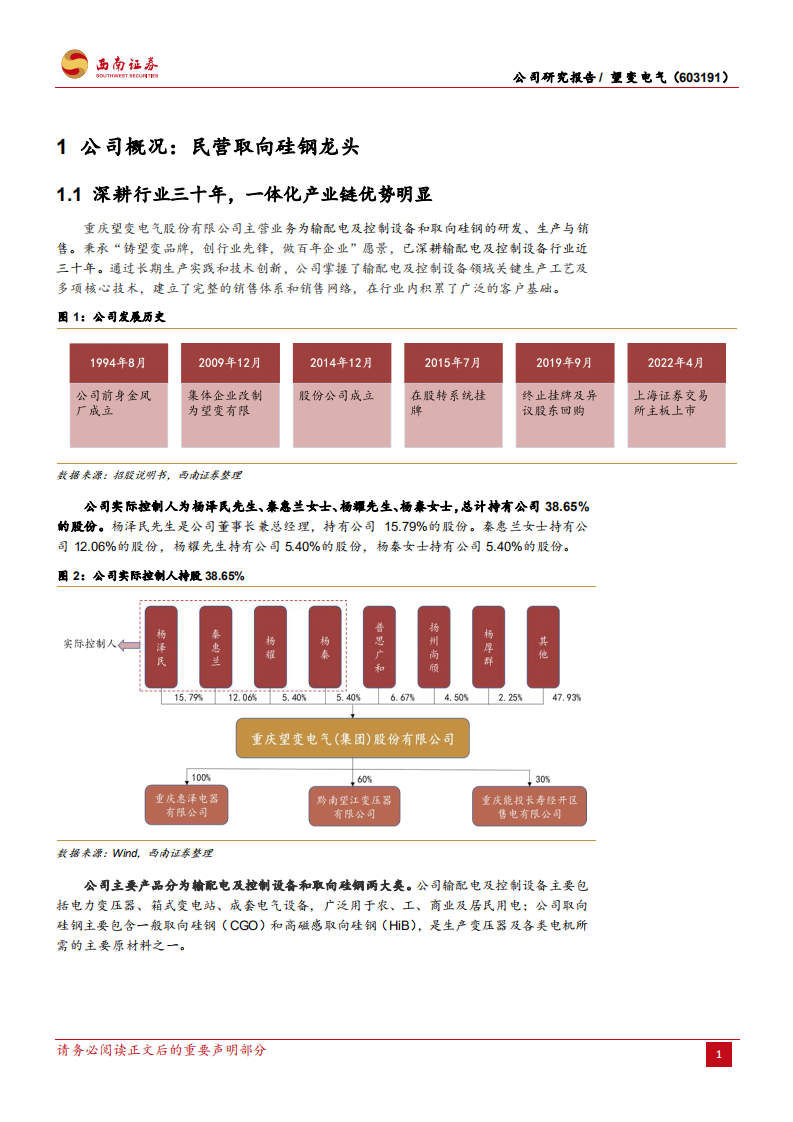望变电气-取向硅钢民营龙头，一体化产业链尽享优势-220804.pdf 第5页