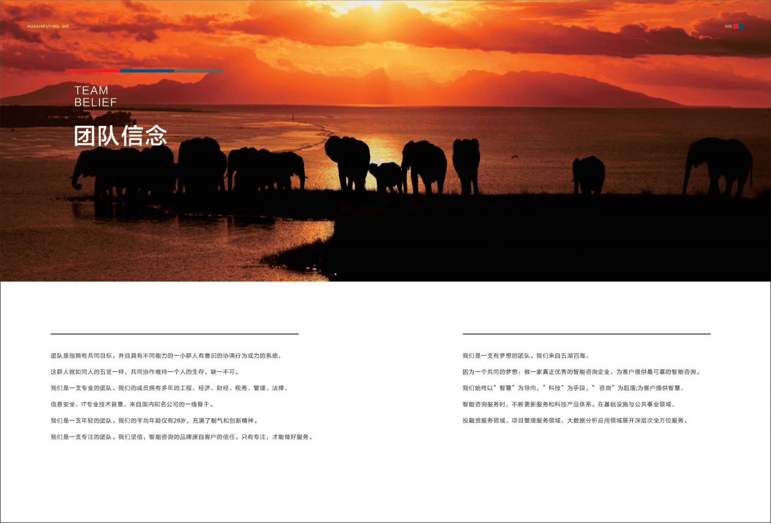 华夏富盈国际咨询有限公司2021 .pdf 第6页