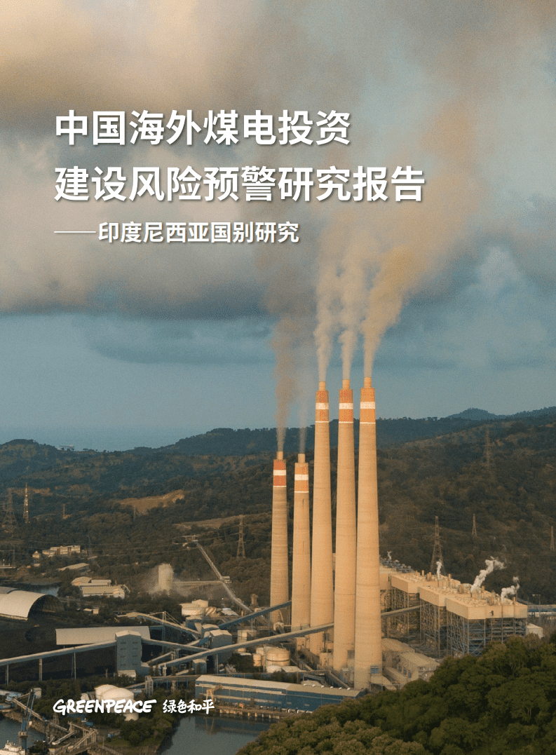 绿色和平：中国海外煤电投资建设风险预警研究报告-印度尼西亚（2021）.pdf 第1页
