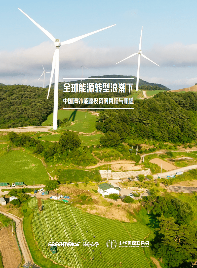 绿色和平：全球能源转型浪潮下，中国海外能源投资的风险与机遇（2021）.pdf 第1页