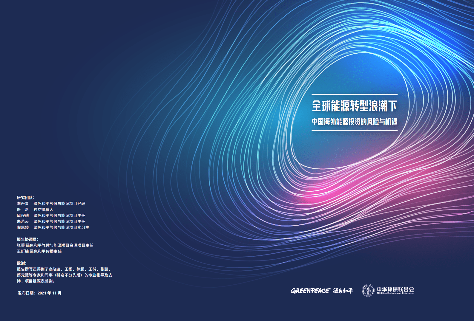 绿色和平：全球能源转型浪潮下，中国海外能源投资的风险与机遇（2021）.pdf 第2页
