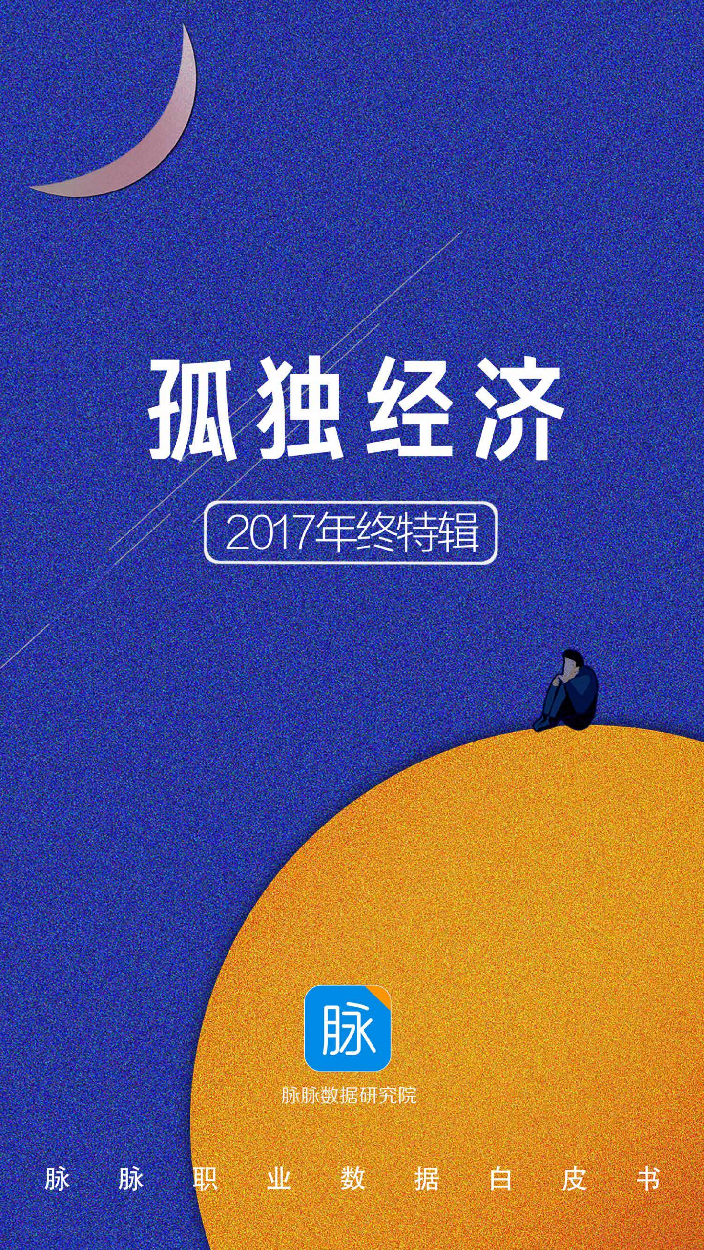 脉脉数据研究院：2017年度白皮书特辑孤独经济.pdf 第1页