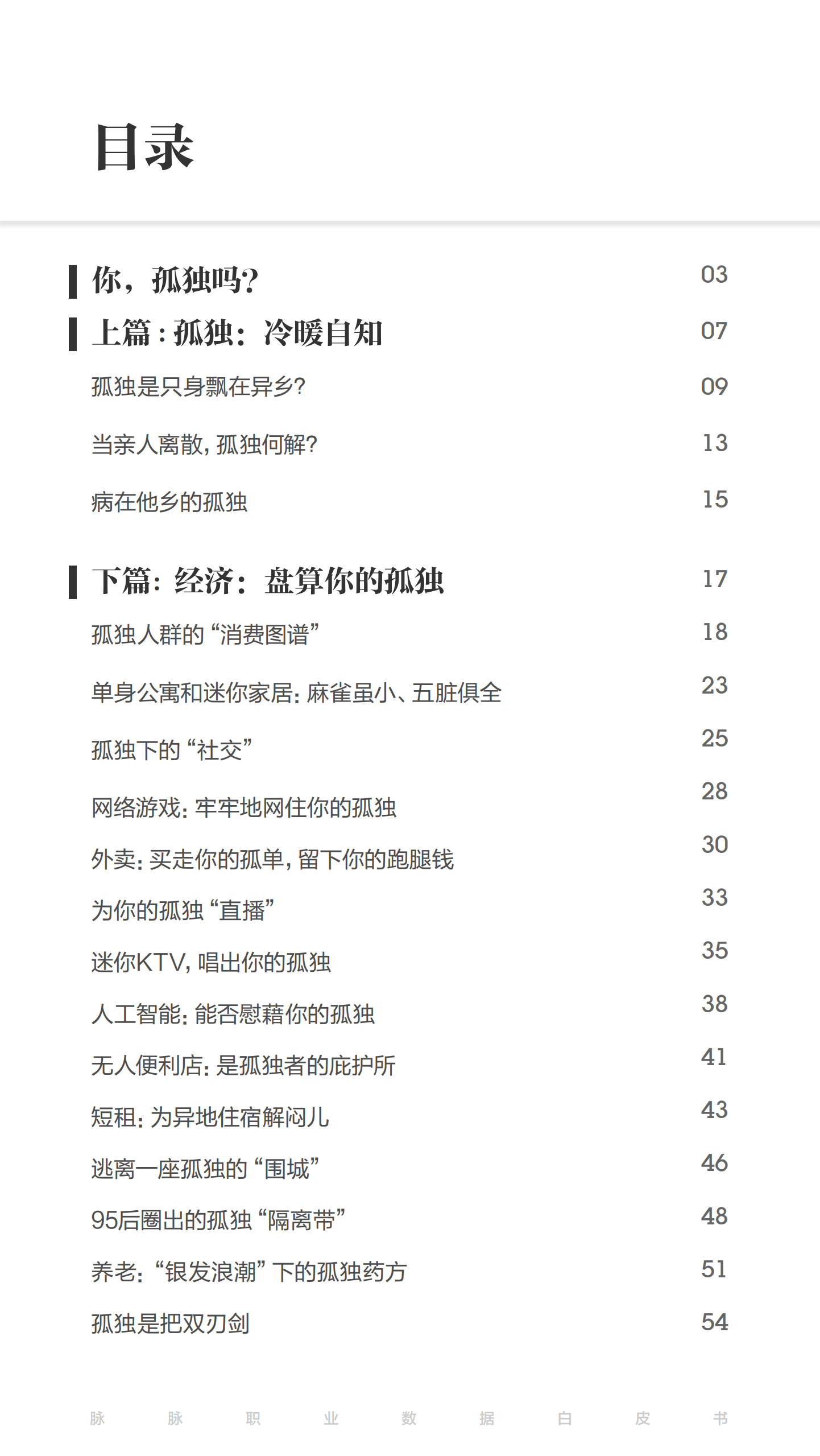 脉脉数据研究院：2017年度白皮书特辑孤独经济.pdf 第2页