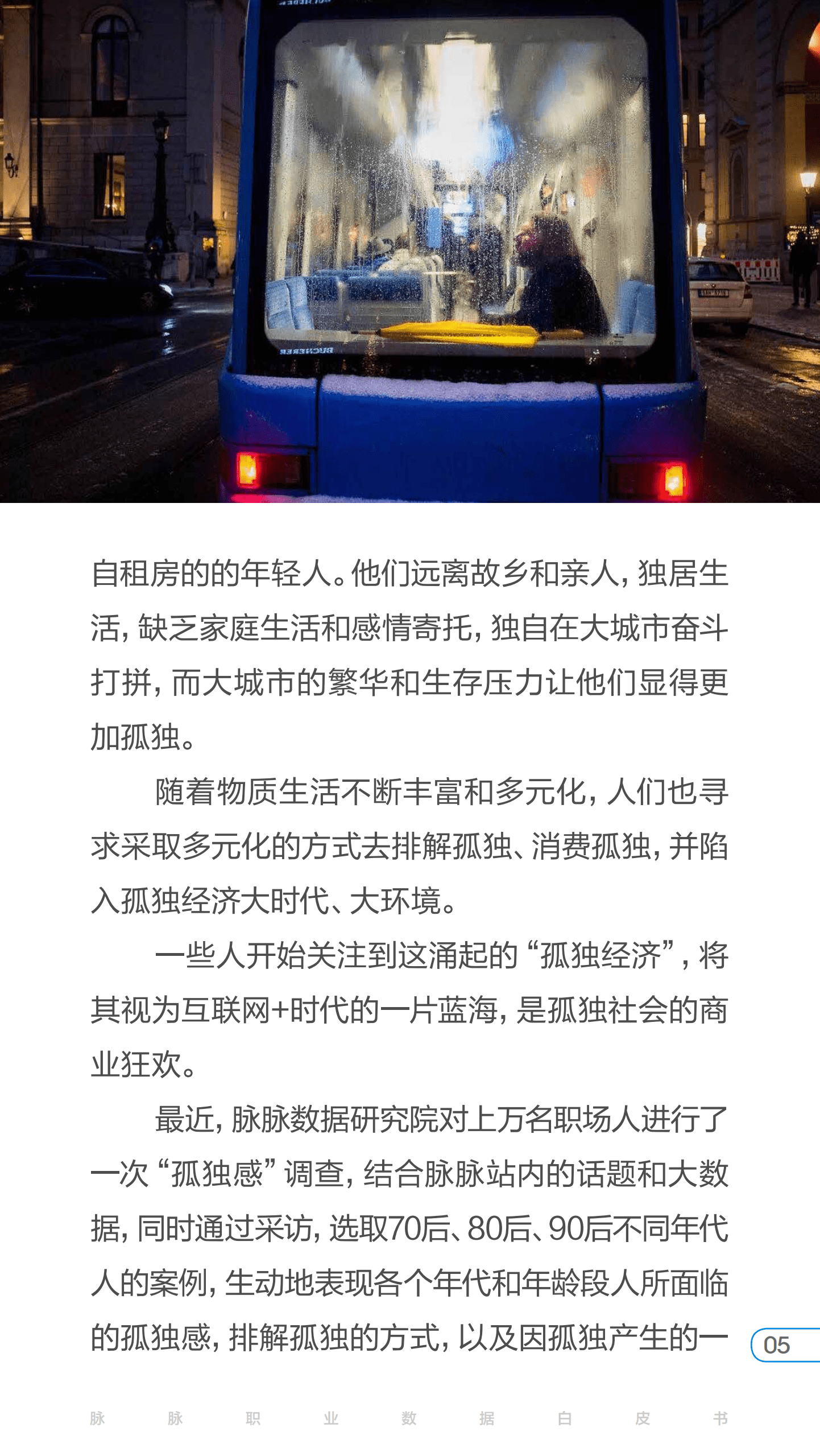 脉脉数据研究院：2017年度白皮书特辑孤独经济.pdf 第5页