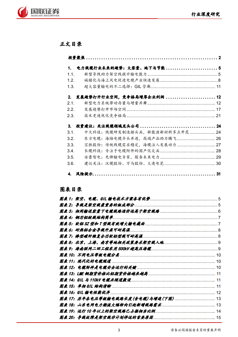 新型电力系统深度研究3：能源网络筑强国，电力线缆再出发-国联证券-220421.pdf 第3页