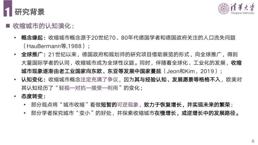 清华大学：中国收缩城市的精准识别、空间表征、效能评价与规划机制研究报告（2022）.pdf 第6页