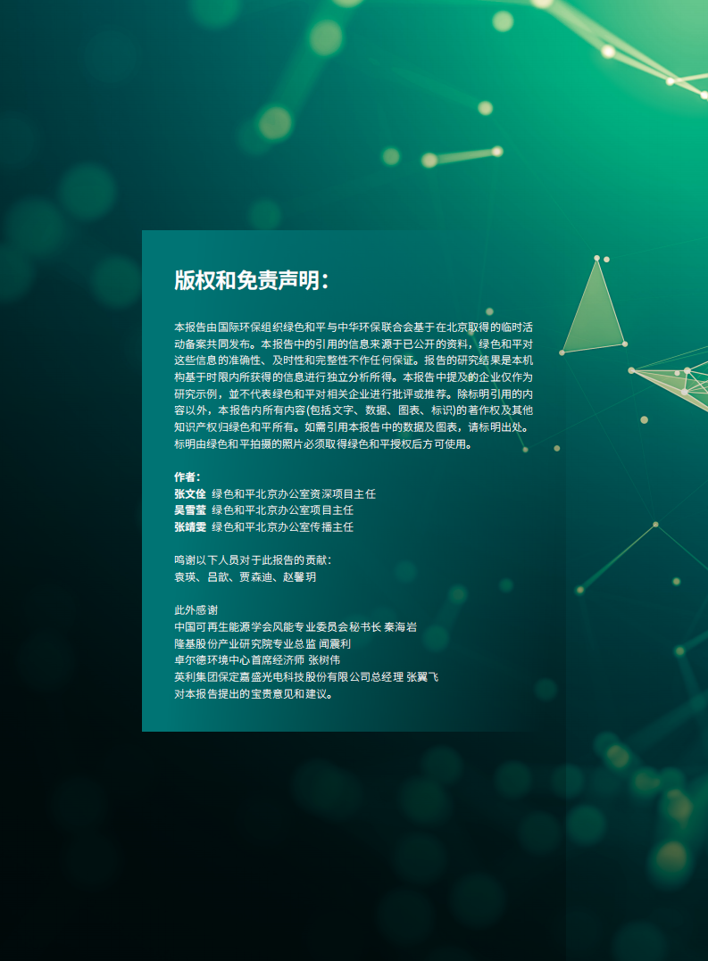 碳中和背景下的可再生能源快速指南（3060可再生能源趋势报告）-PowerLab.pdf 第2页