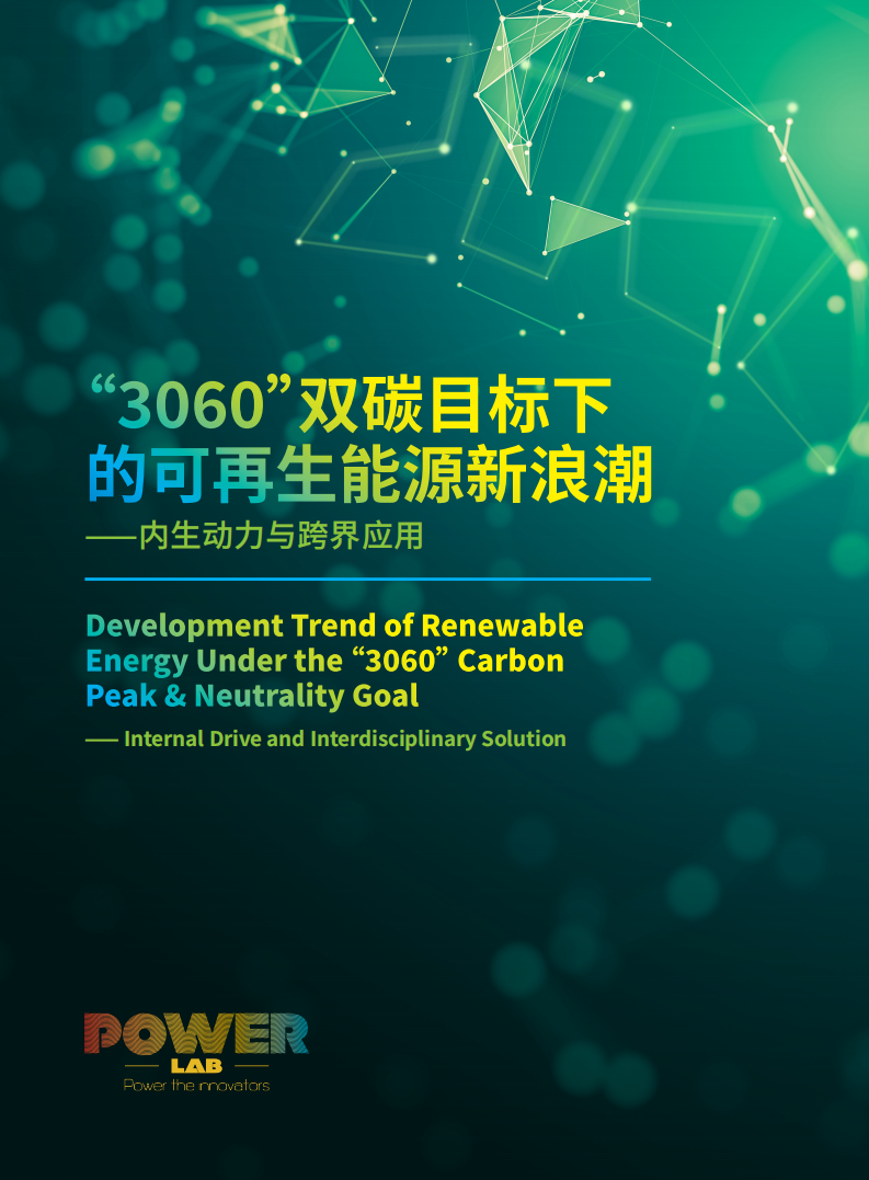 碳中和背景下的可再生能源快速指南（3060可再生能源趋势报告）-PowerLab.pdf 第1页