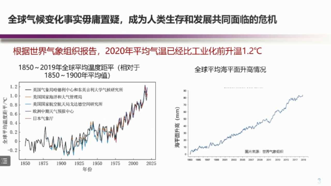 碳中和背景下可再生能源发展的机遇与挑战.pptx 第3页
