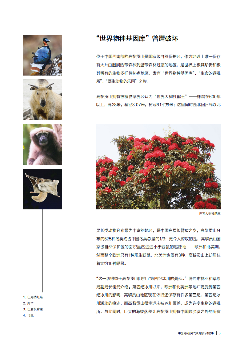 碳中和进程中的民间故事-腾冲故事.pdf 第3页