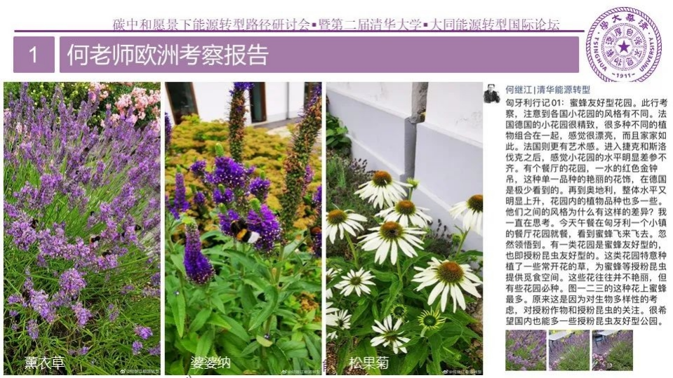 碳中和论坛 昆虫旅馆.pdf 第6页