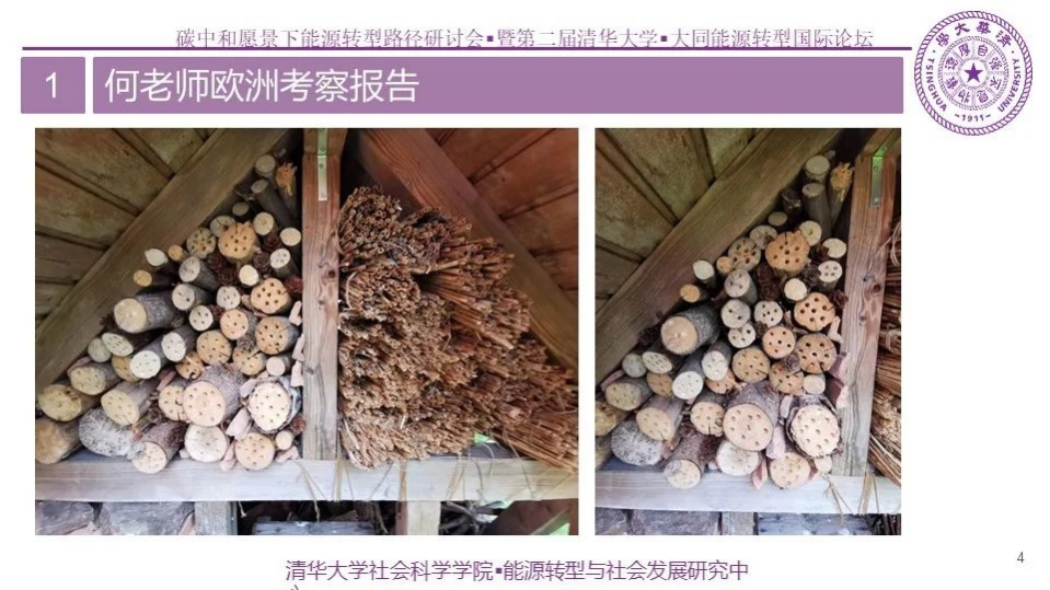 碳中和论坛 昆虫旅馆.pdf 第4页