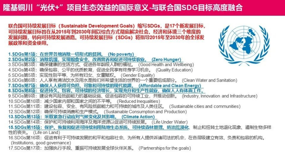 碳中和论坛  铜川光伏领跑者.pdf 第4页