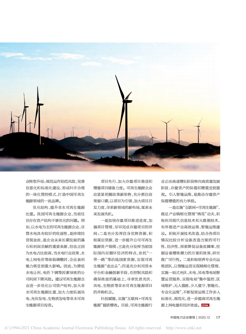 碳中和目标背景下可再生能源企业发展策略研究——以广西某企业为例.pdf 第4页