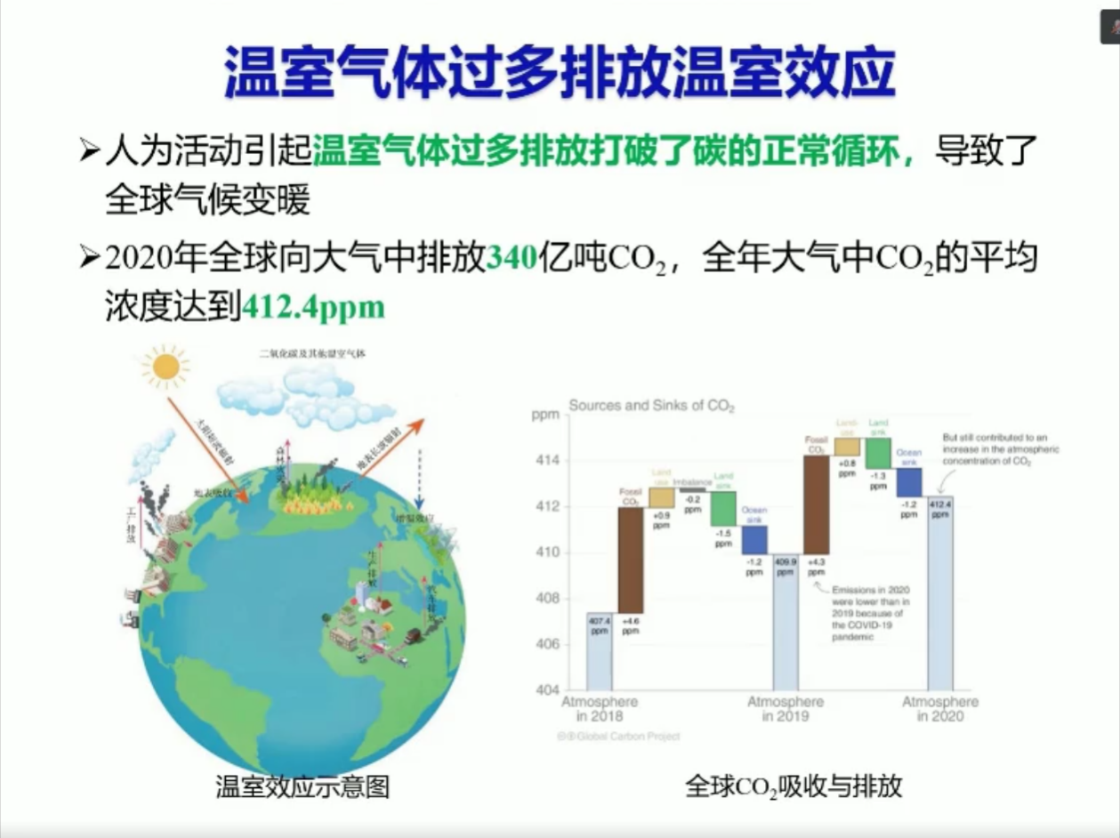 周国模：碳中和基于林业的解决方案.pdf 第5页