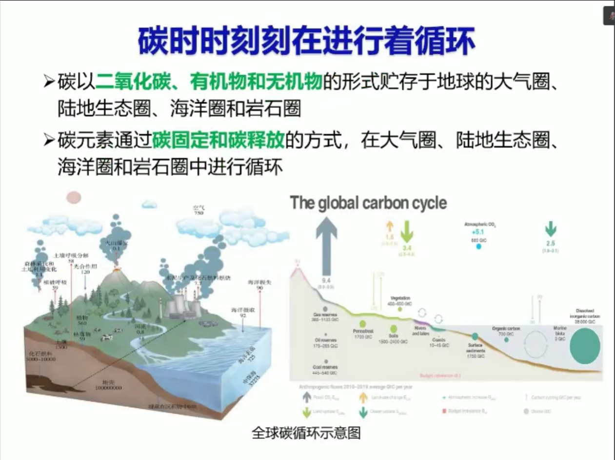 周国模：碳中和基于林业的解决方案.pdf 第4页
