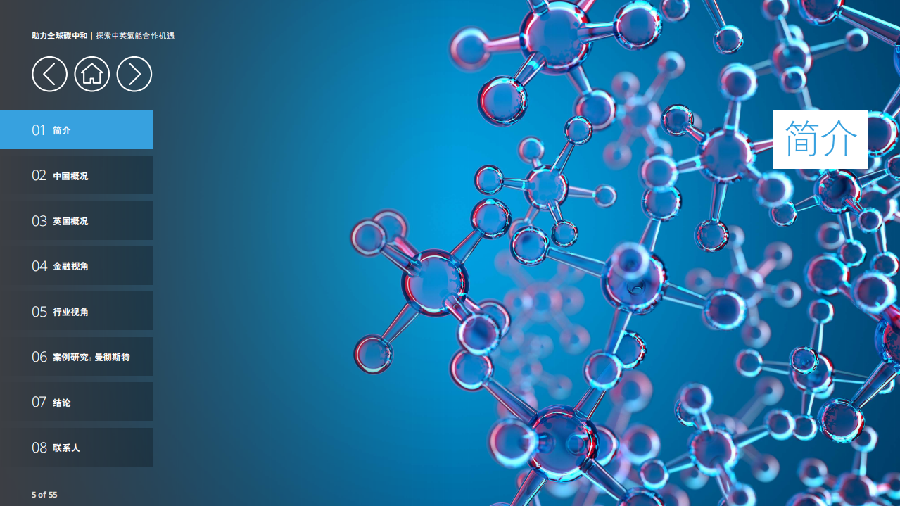 助力全球碳中和：探索中英氢能合作机遇-德勤.pdf 第5页