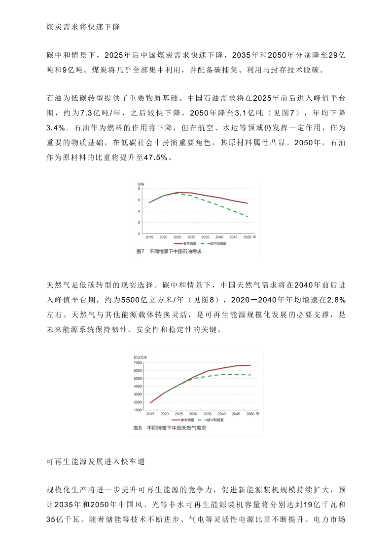 碳中和目标下中国能源转型路径分析.pdf 第6页