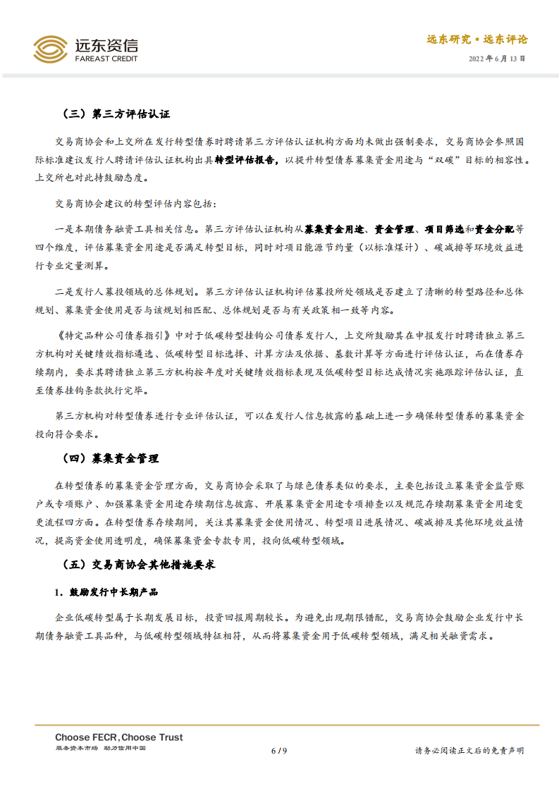 转型债券市场迎来发展，助力实现“双碳”目标-远东资信.pdf 第6页