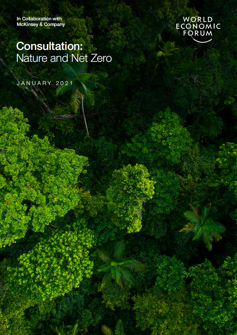 自然气候解决方案与净零碳排放-世界经济论坛.pdf 第1页