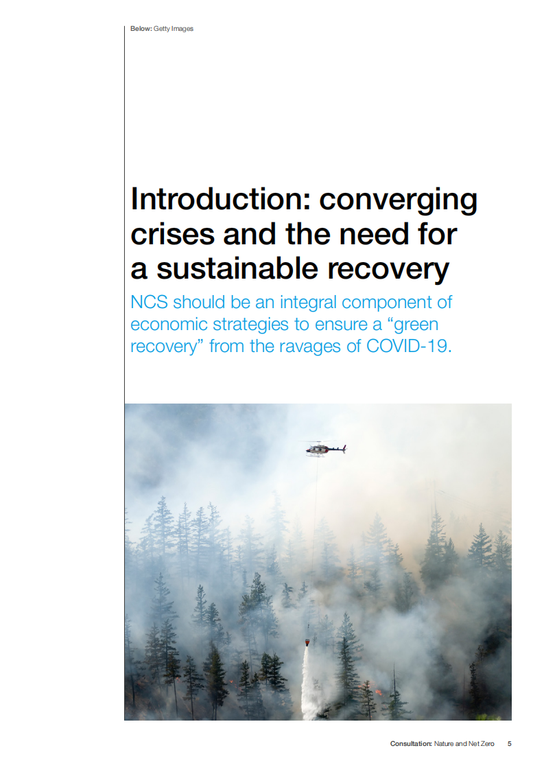 自然气候解决方案与净零碳排放-世界经济论坛.pdf 第5页