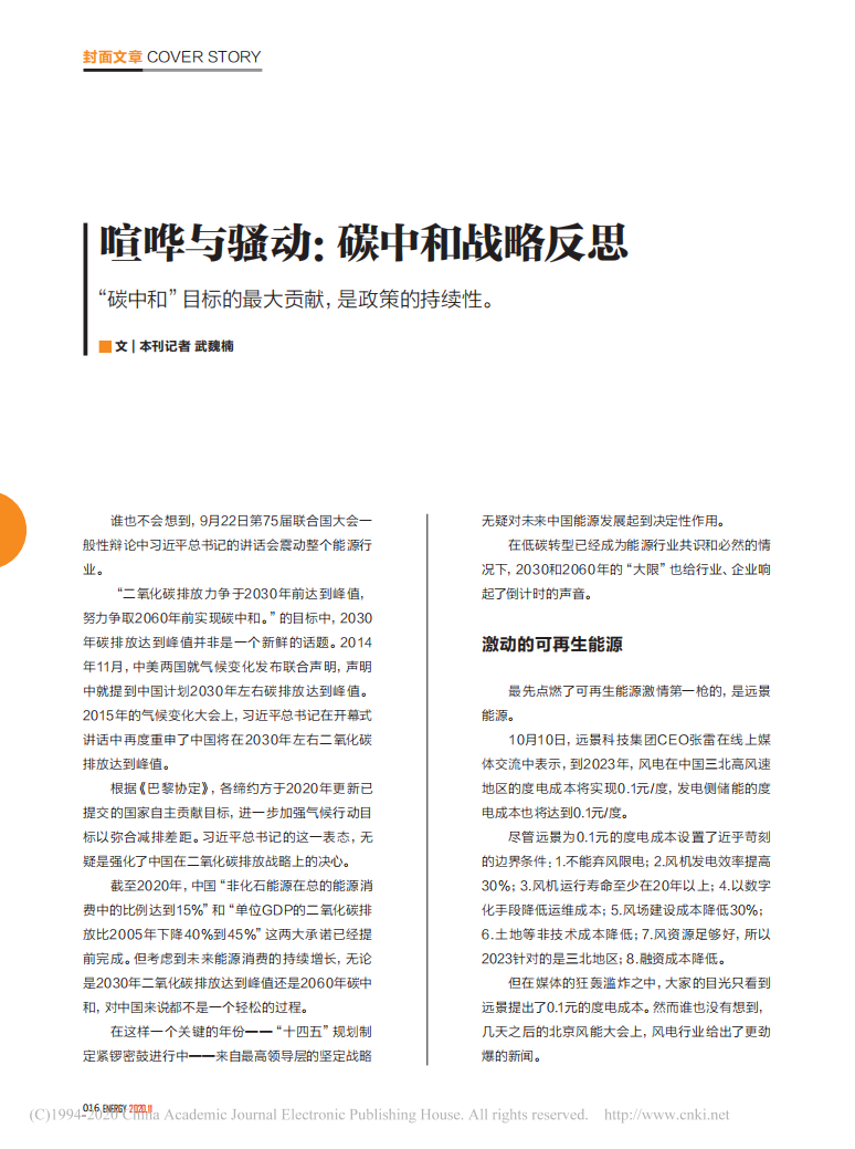 喧哗与骚动：碳中和战略反思.pdf 第1页