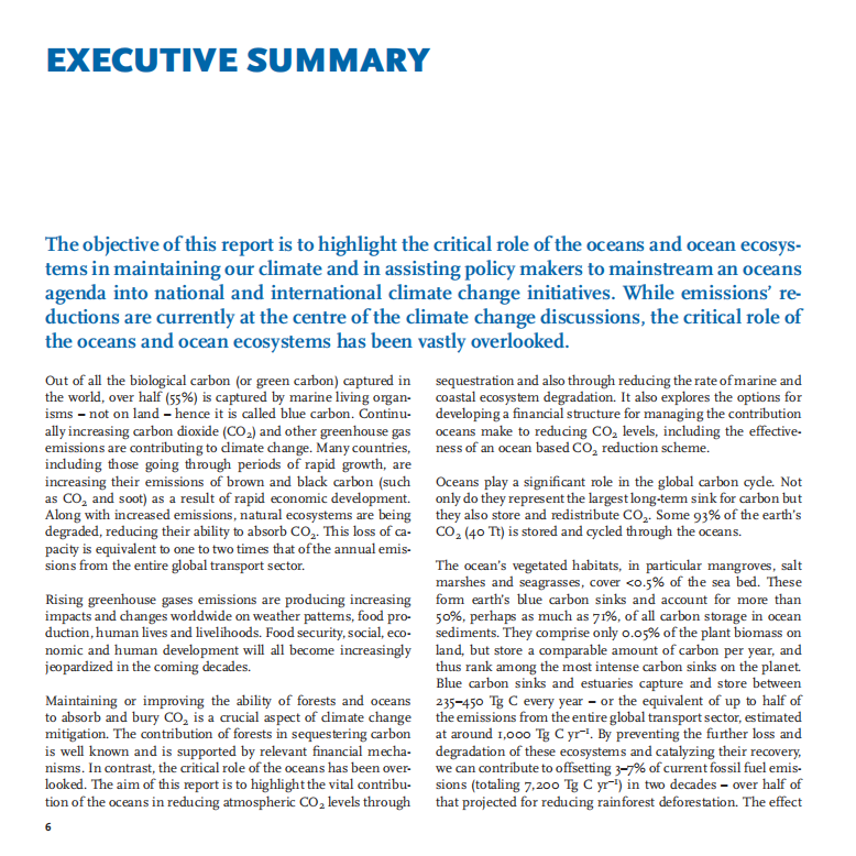 Blue Carbon ：The Role of Healthy Oceans in Binding Carbon.pdf 第6页