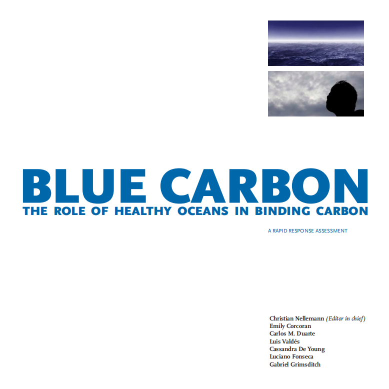 Blue Carbon ：The Role of Healthy Oceans in Binding Carbon.pdf 第3页