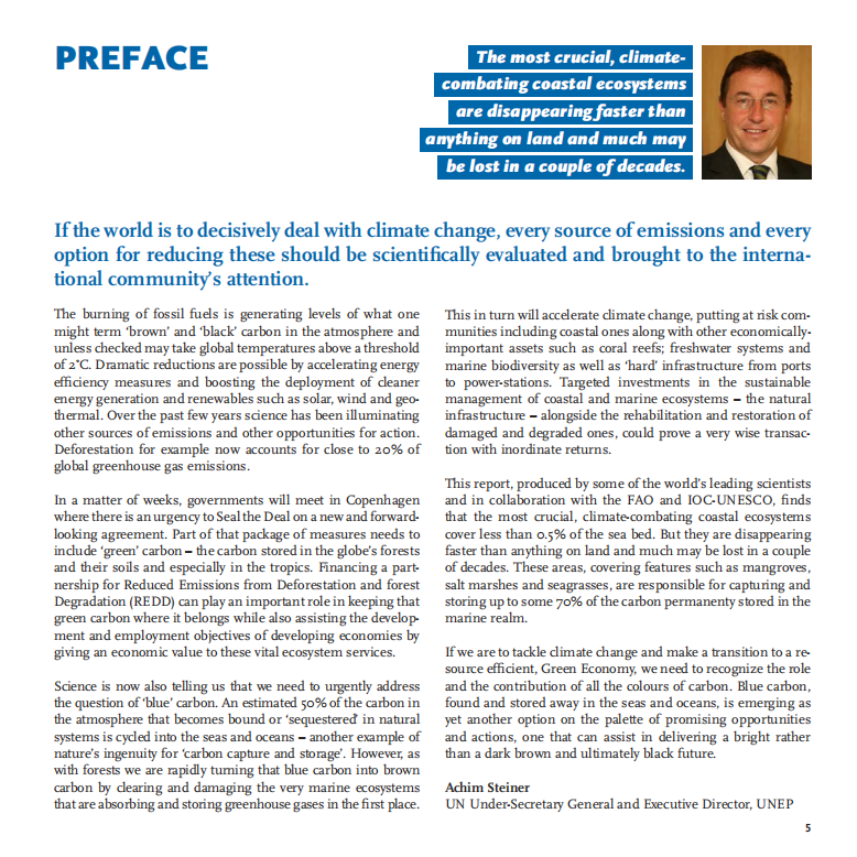 Blue Carbon ：The Role of Healthy Oceans in Binding Carbon.pdf 第5页