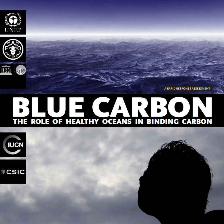 Blue Carbon ：The Role of Healthy Oceans in Binding Carbon.pdf 第1页
