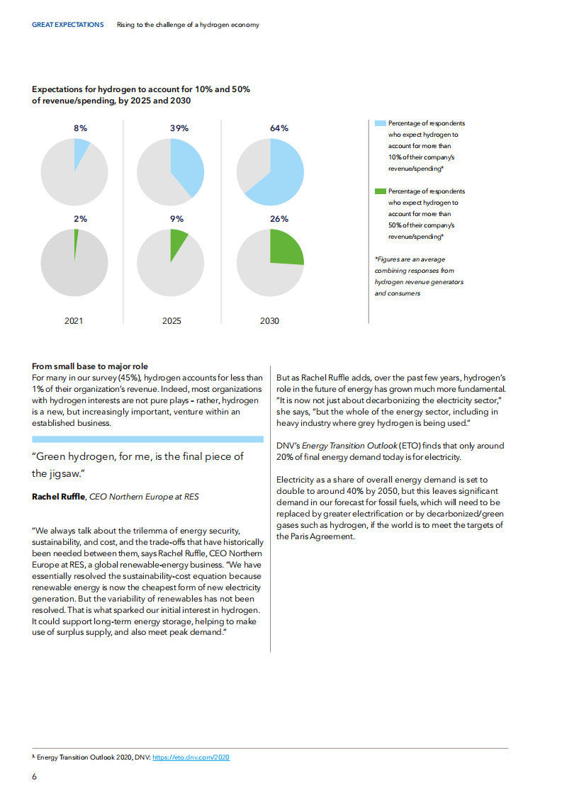 迎接氢经济的挑战（英）-DNV.pdf 第6页