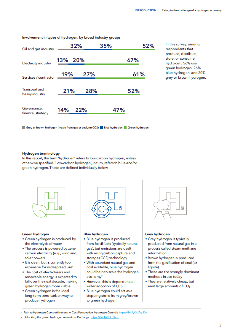 迎接氢经济的挑战（英）-DNV.pdf 第3页